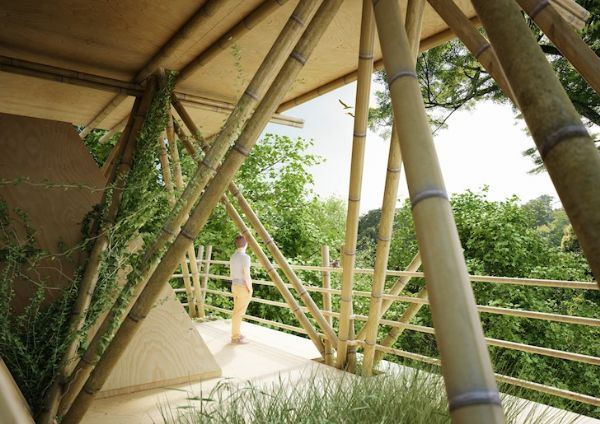 Hotel de bambu faz visitantes se sentirem como pssaros nas rvores