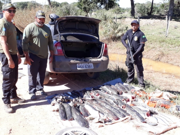 Pescador fura bloqueio da polcia e abandona carro com 110 kg de peixe