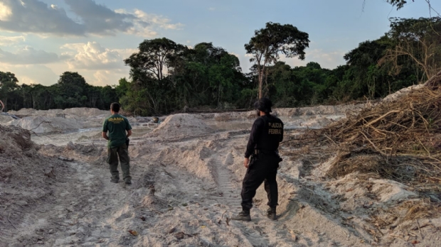 PF e Ibama suspendem atividades de madeireiras e garimpos ilegais no Norte de MT