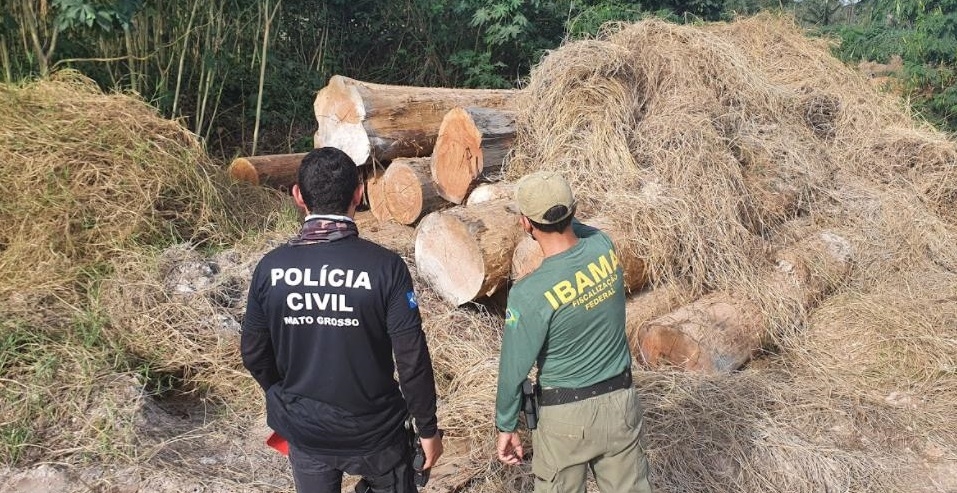 Polcia apreende 600 metros cbicos de madeira e multa em meio milho madeireiras que operavam ilegamente