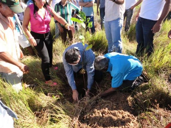 plantio de mudas no Serra Verde na semana do Meio Ambiente