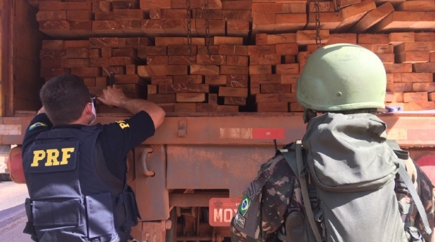 PRF apreende caminho com madeira ilegal na BR-158