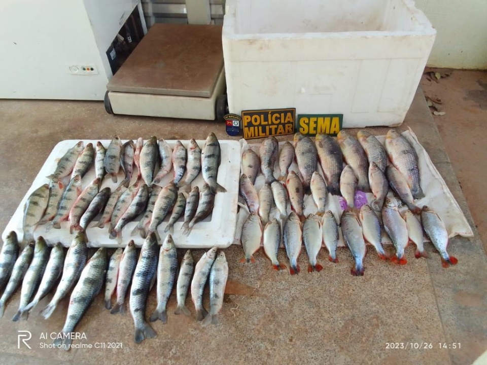 Operao da Sema apreende 20 kg de pescado ilegal em Mato Grosso