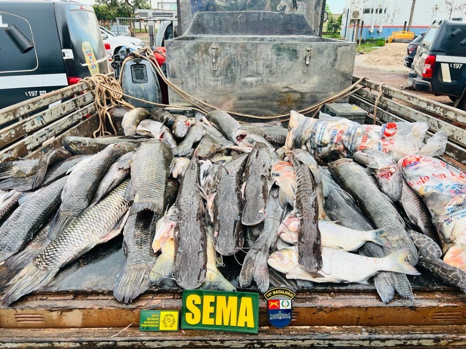 Sema apreende 450 kg de pescado ilegal na primeira semana aps fim da piracema