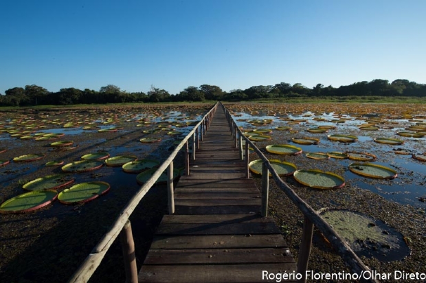 Pacto para desenvolvimento sustentvel do Pantanal  firmado durante 8 Frum Mundial