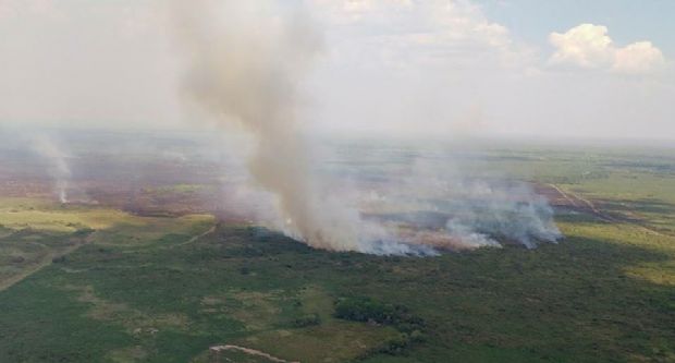 Incndio de grande propores j atinge 1.500 hectares em reserva do Sesc Pantanal;  fotos e vdeos 