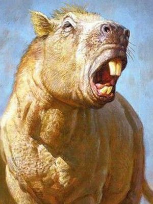 Maior roedor do mundo usava dentes como presas