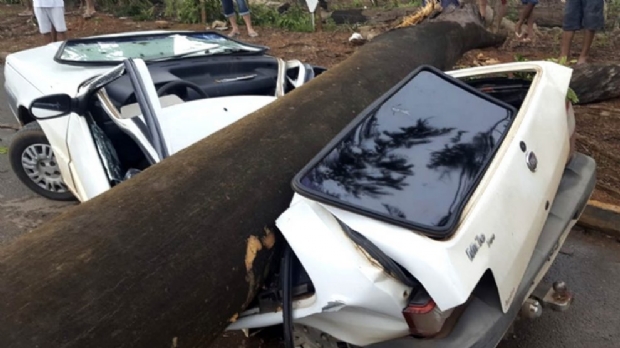 rvore esmaga carro durante temporal em cidade de Mato Grosso