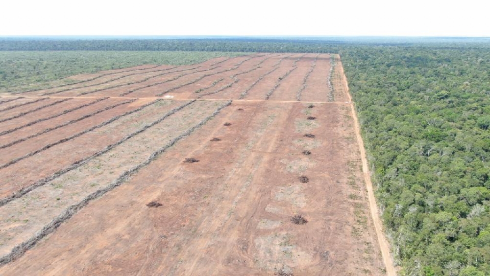 Fazendeiro  multado em R$ 3,8 milhes por desmatamento com uso irregular do fogo em rea florestal