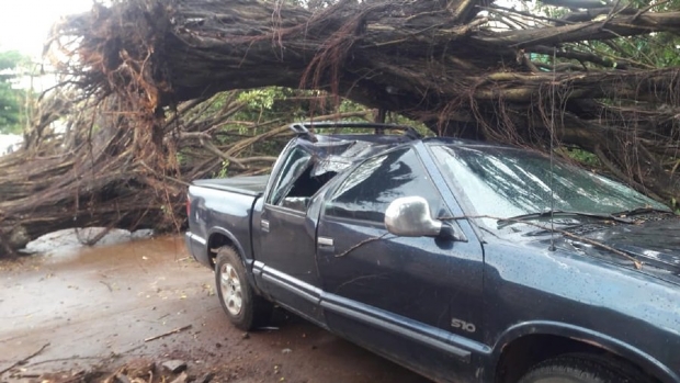 Vendaval em Jaciara derruba rvore em S10, arranca toldos e causa pnico; veja fotos