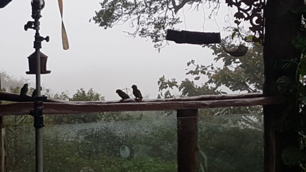 Chapada amanhece com 5C e frente fria ajuda a espantar baixa umidade em Cuiab;  fotos e vdeo 