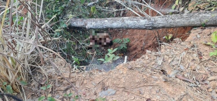 Corpo de homem nu executado a tiros  encontrado em buraco na mata