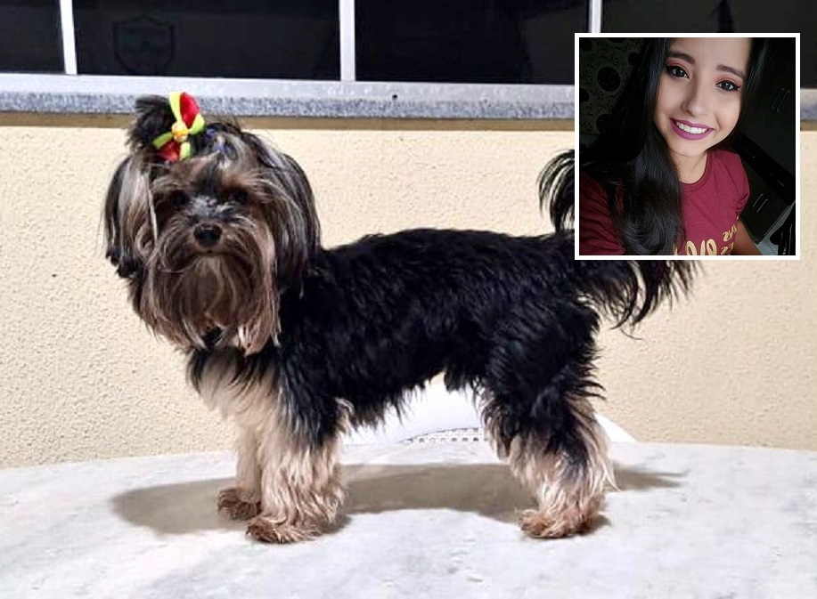 Famlia de enfermeira procura por cachorro que desapareceu aps acidente: 