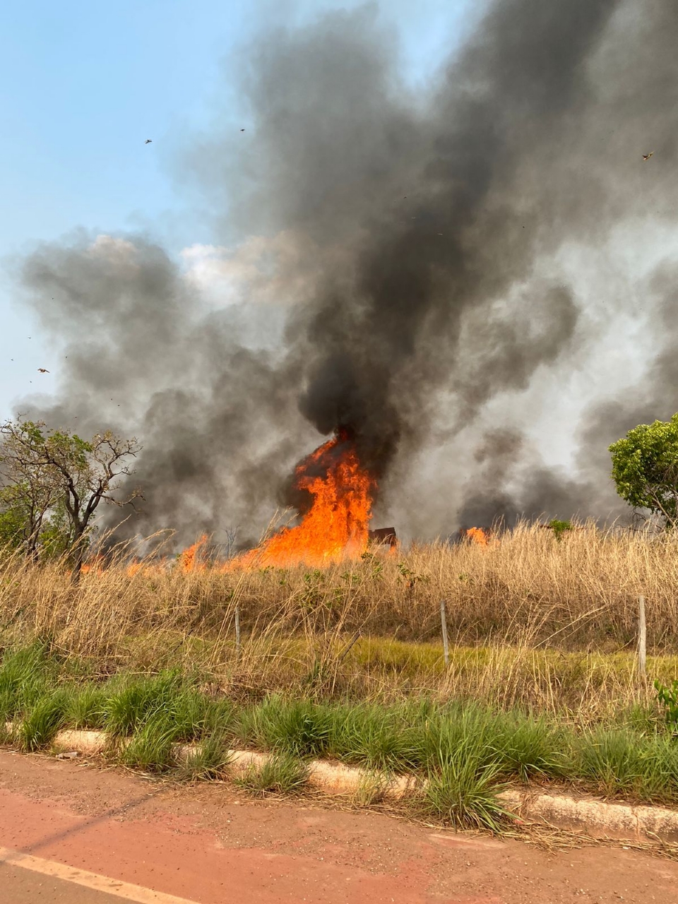 Focos de incndio continuam s margens da MT-251 e bombeiros tentam combater chamas com aeronave