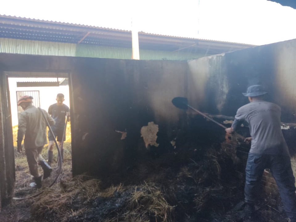 Pavilho da Cavalaria da PM em Cuiab pega fogo e queima 200 fardos de alfafa