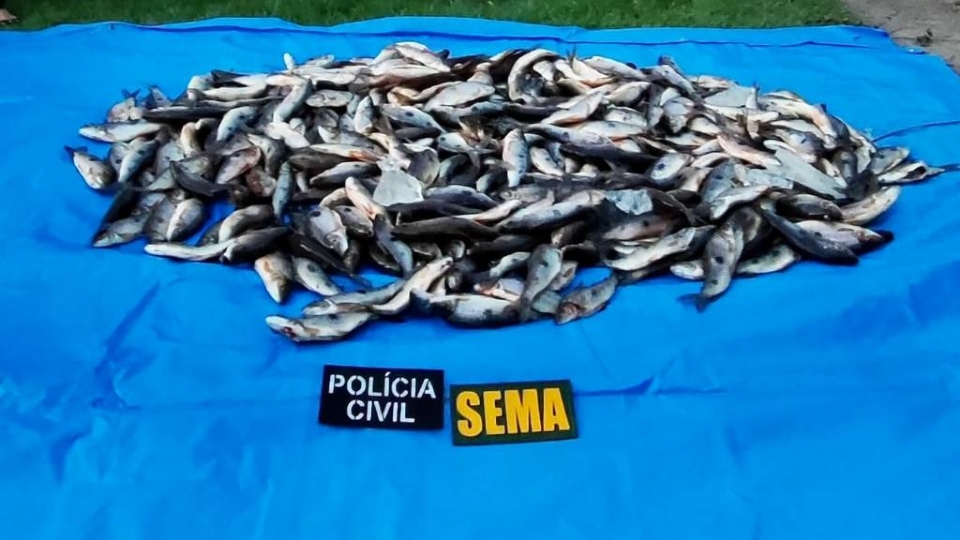 Sema apreende 220 quilos de peixes em operao contra pesca ilegal