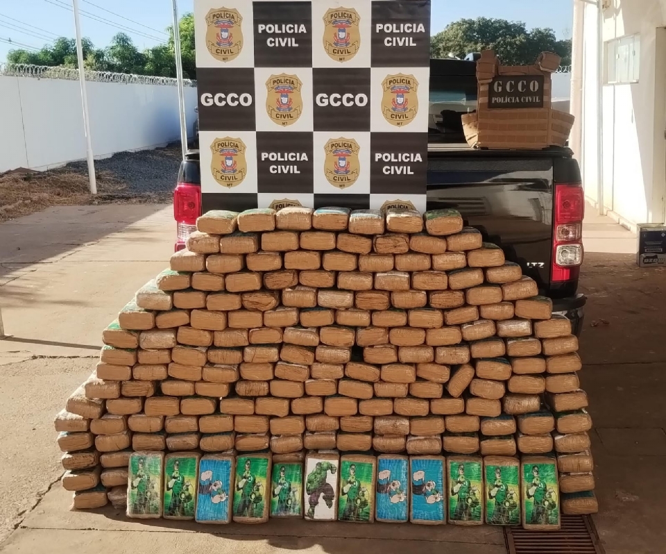 Polcia Civil apreende 210 tabletes de maconha em caminhonete na MT-010