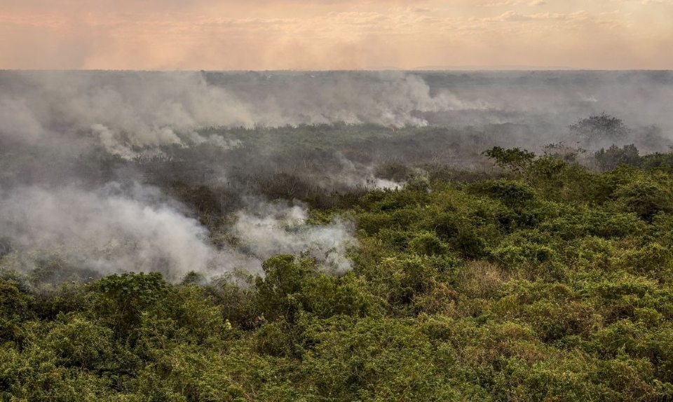 Pantanal deve enfrentar pior crise hdrica da histria neste ano, aponta estudo