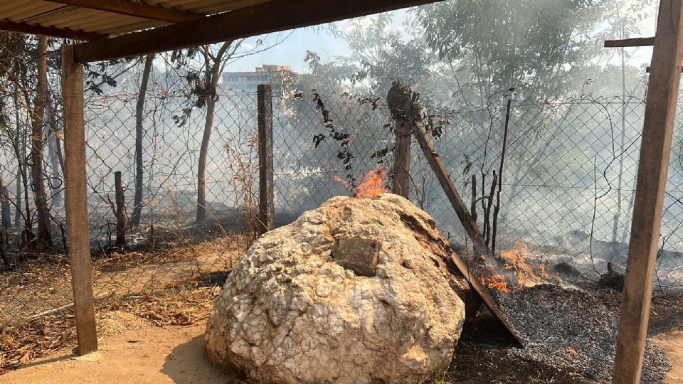 Incndio atinge vegetao seca no Morro da Luz; veja imagens