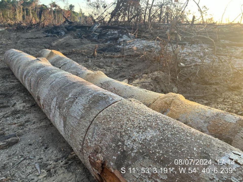 Operao aplica multas acima de R$ 2 milhes por queimadas e desmatamento ilegal em fazenda