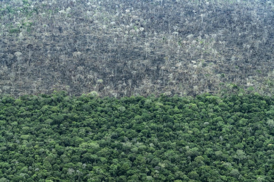 Imagem area da Terra Indgena Piripkura