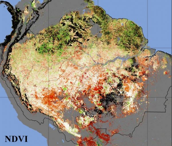 Estudo diz que risco de seca no sul da Amaznia  maior do que se pensava