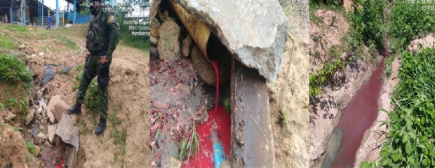 Polcia flagra  crime ambiental em rea de abate de frigorfico; gerente  conduzido