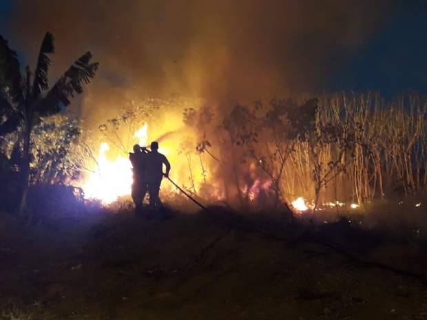 ​Bombeiros retornam a terreno novamente em chamas momentos aps fim de combate no mesmo local