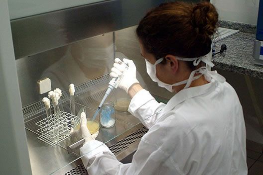 Estudo aponta combinao de anticorpos como mtodo contra HIV