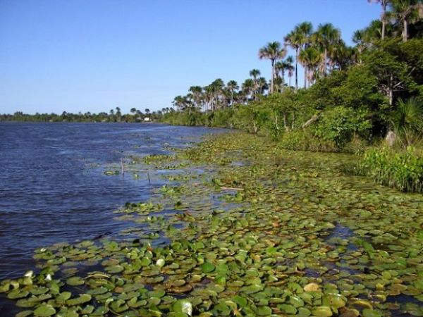 Cientistas, produtores e governo finalizam documento para preservao de reas midas em MT