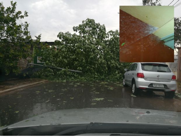 Internautas do Olhar Direto registram chuva de granizo e Bombeiros atendem mais de 60 ocorrncias;   fotos e vdeos 