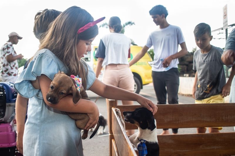 Feira de Adoo Voluntria de Pets tem todos animais adotados em menos de uma hora