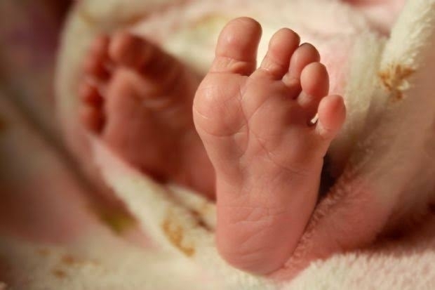 Recm-nascido morre aps me dar  luz em ambulncia; famlia denuncia atendimento por WhatsApp