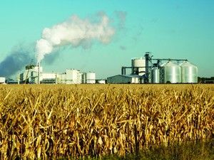 Expanso do biocombustvel pode elevar mortes por poluio, diz estudo