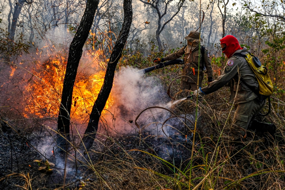 Bombeiros combateram 41 incndios florestais no sbado em Mato Grosso; fogo no Pantanal, parques e terras indgenas