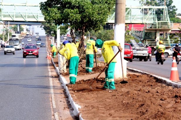 Prefeitura inicia recuperao de canteiros do VLT e palmeiras podero ser realocadas se modal for retomado