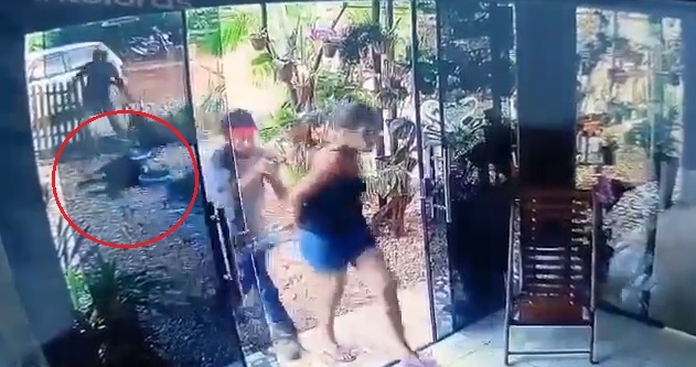 Criminosos rendem casal e do tiro em cachorro durante roubo; veja vdeo