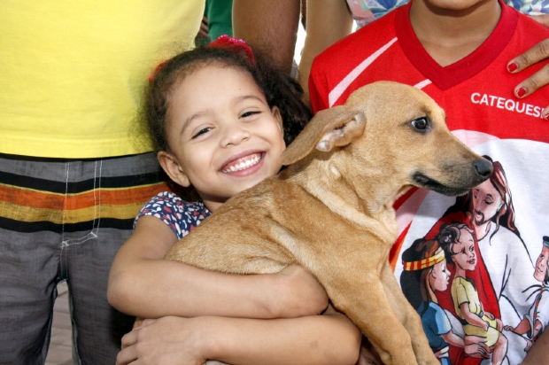 Adoes triplicam e resgates de gatos e cachorros dobram em 2019