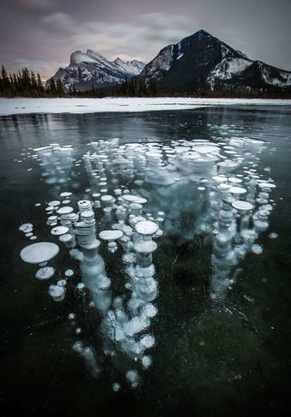 Bolhas de metano lanadas do permafrost ficaram congeladas quando tentavam alcanar a superfcie do Lago Vermillion, no Parque Nacional Banff, no Canad