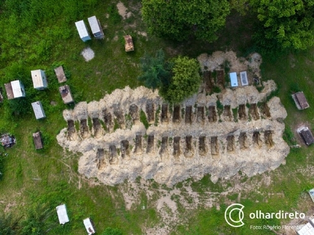 Primeira quinzena de maro tem mdia de quase 80 mortes por coronavrus por semana