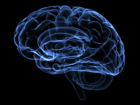 Falar de si mesmo gera prazer no crebro, afirmam cientistas
