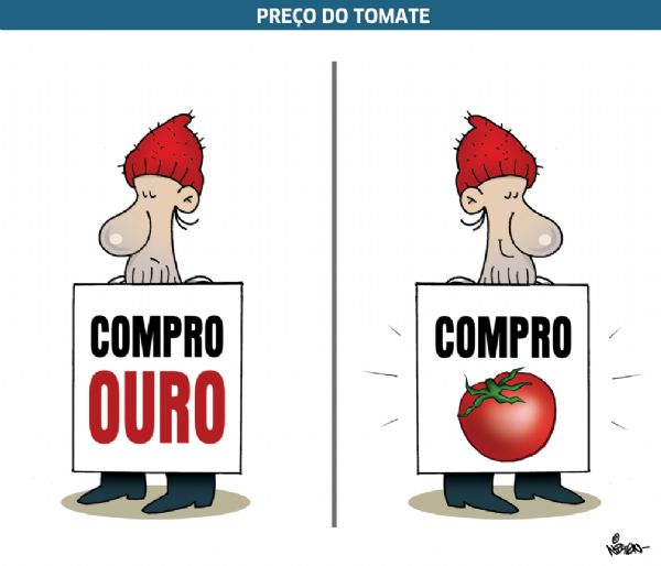 Tombo do tomate