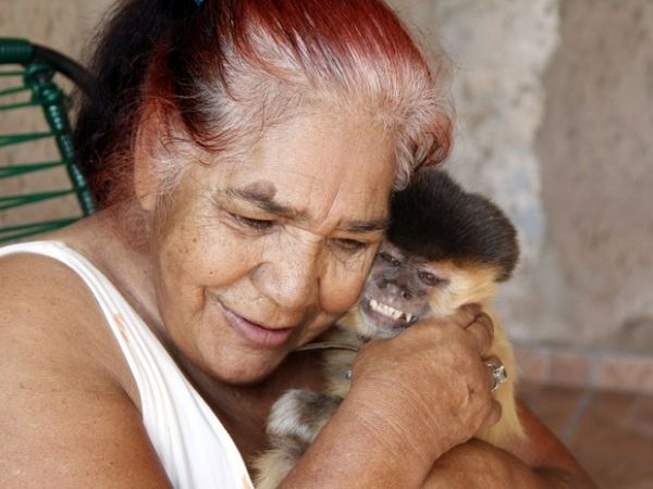 Aps 37 anos, macaco tratado como filho  tirado da famlia em So Carlos