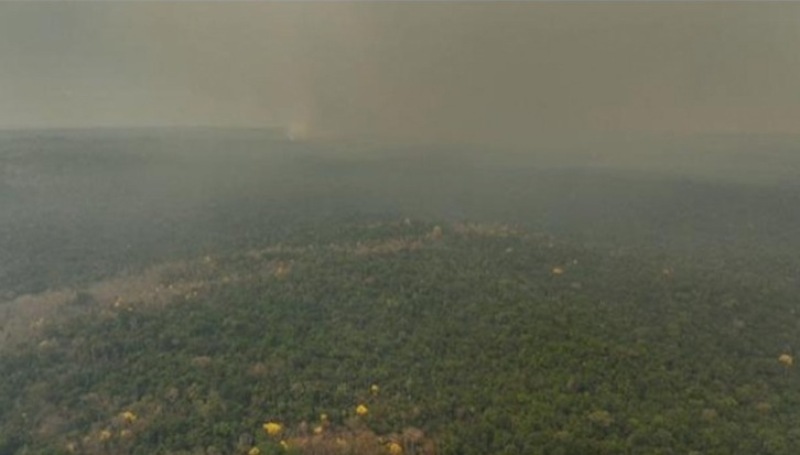 Parque Cristalino j perdeu 5 mil hectares com incndios florestais em um ms