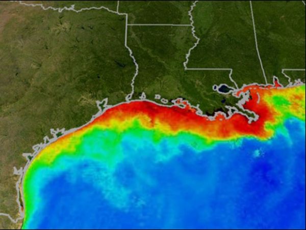 Golfo do Mxico pode ter rea txica do tamanho de Sergipe, diz NOAA