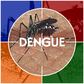 Estado j registra mais de 11 mil casos de dengue em apenas 3 meses