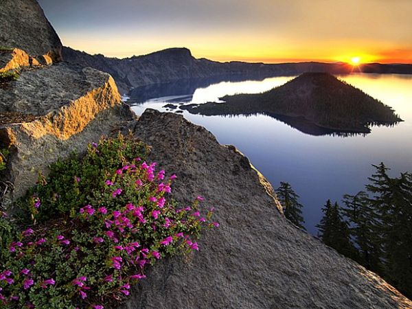 Concurso britnico premia melhores fotos de bosques e jardins do mundo