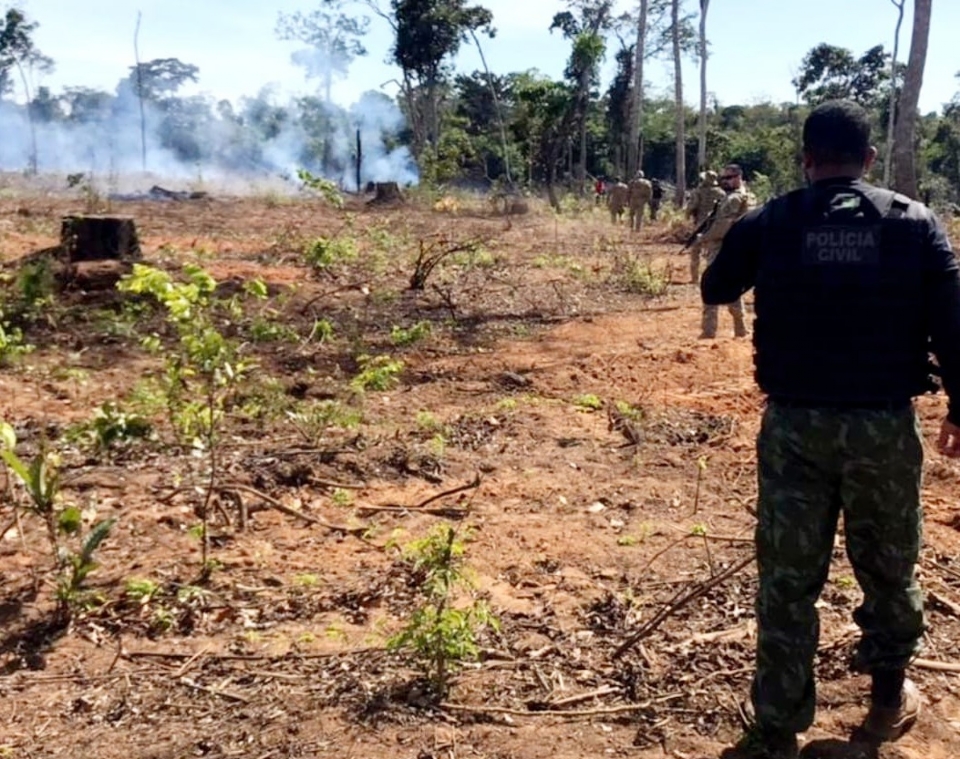 Polcia Civil j prendeu 16 pessoas por fazerem queimadas em florestas em MT