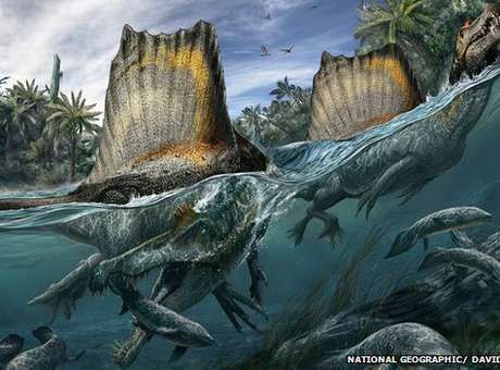 Maior dinossauro carnvoro conhecido pelo homem podia nadar