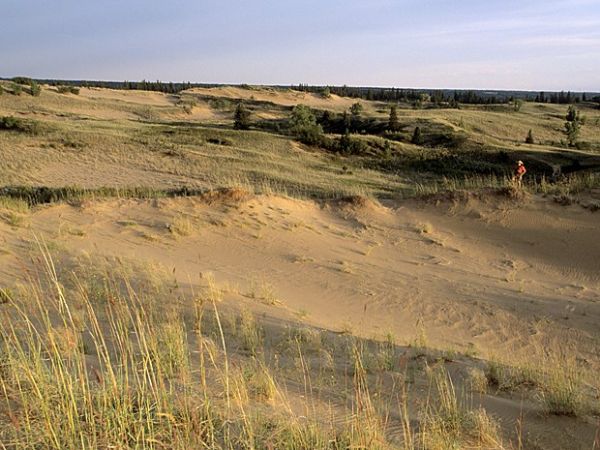 Raro deserto de dunas no Canad pode sumir, dizem especialistas